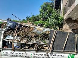 Best Dumpster Rental Services in Sun City, AZ